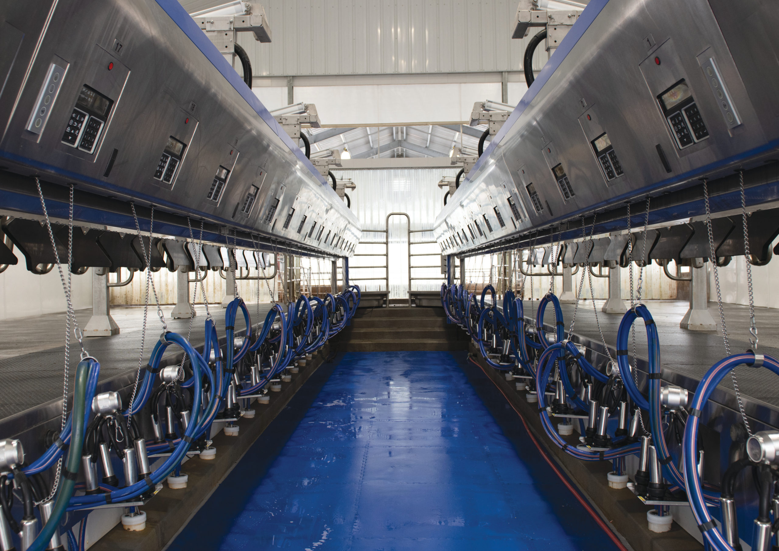 P500 Parallel Parlour - T H WHITE Dairy