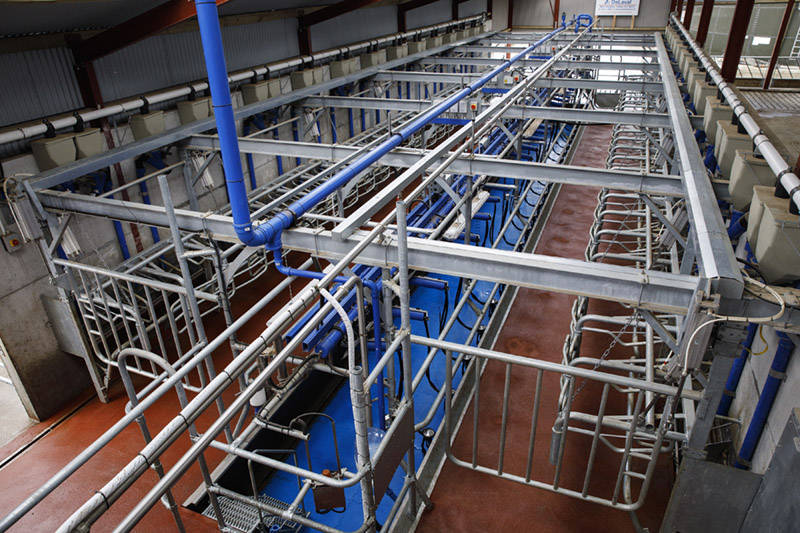 New P100 parallel parlour system from DeLaval - T H WHITE Dairy