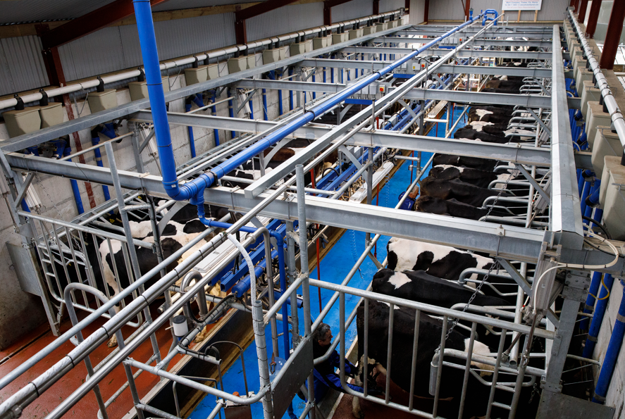 WINTER PLANNING – PREPARING YOUR PARLOUR - T H WHITE Dairy